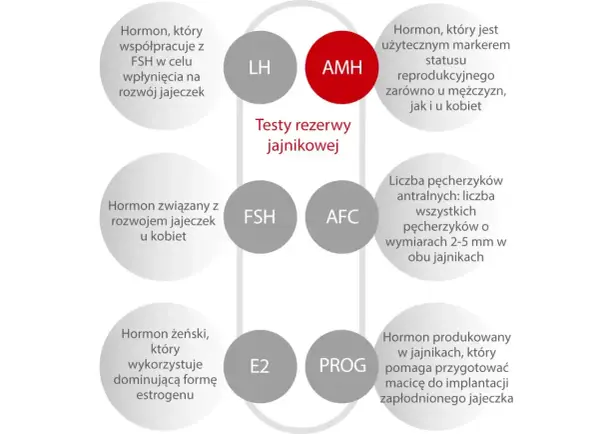 AMH badanie: kluczowy hormon w ocenie rezerwy jajnikowej, marker płodności u obu płci. Schemat przedstawia powiązane hormony i wskaźniki.