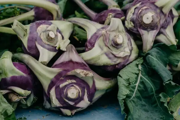 Kupka fioletowo-zielonych kalarep. Czy pies może jeść kalarepę? Tak, w umiarkowanych ilościach.