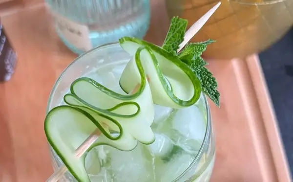 Un gin tonic concombre rafraîchissant, garni de fines lamelles de concombre en spirale et de feuilles de menthe fraîche.