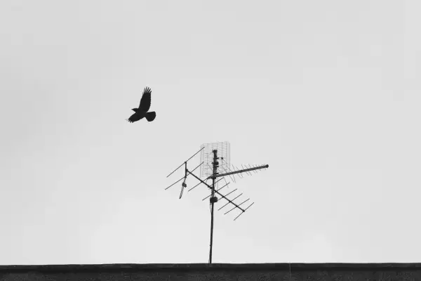 Smart TV a antena - Czy zawsze jej potrzebujesz?