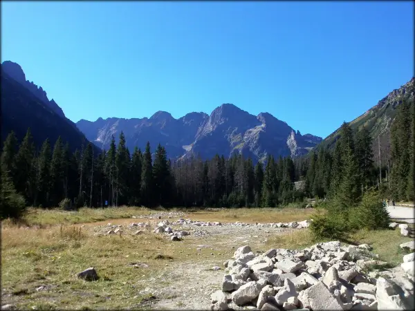 Widok na Tatry, szczyty Rysy 2499 czy 2503 w oddali, las i kamienista dolina.