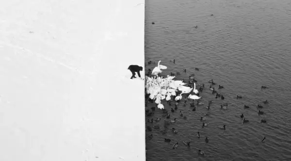 Minimalizm w fotografii - Twórz proste, mocne kadry