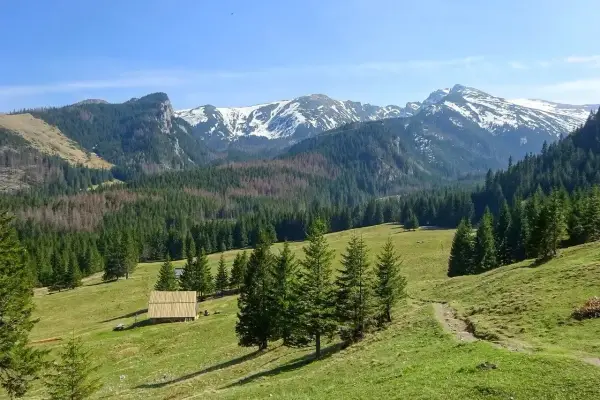 Malownicze pogórze z zielonymi łąkami, lasem świerkowym i ośnieżonymi szczytami w tle. Na hali drewniana szopa.