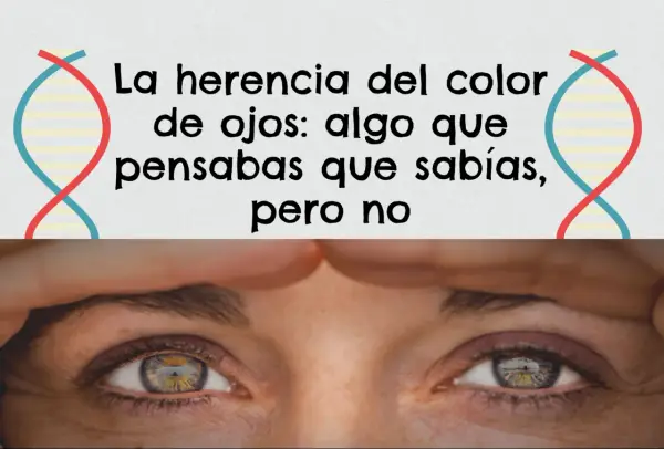 La herencia del color de ojos: la probabilidad de que tus ojos sean de un color u otro es más compleja de lo que crees.