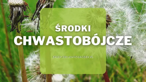 Środki chwastobójcze pomogą Ci pozbyć się niechcianych roślin z ogrodu. Dostępne na sklep.zielonyogrodek.pl.