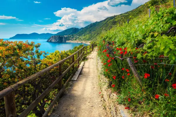 Sentiero fiorito con papaveri rossi e vista sul mare, ideale per un'escursione alle Cinque Terre.