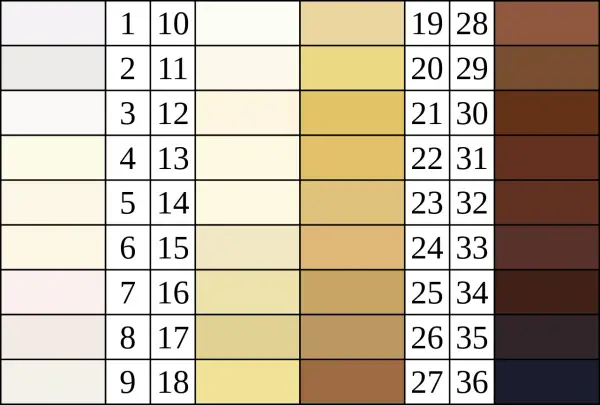 Farbpalette von hell bis dunkel, die die Vielfalt der Hauttöne darstellt, ein Beispiel für polygenie.