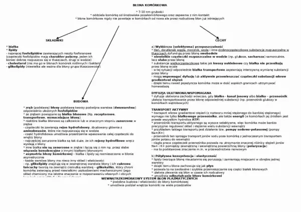 Budowa komórki eukariotycznej - Dlaczego to więcej niż tylko jądro?