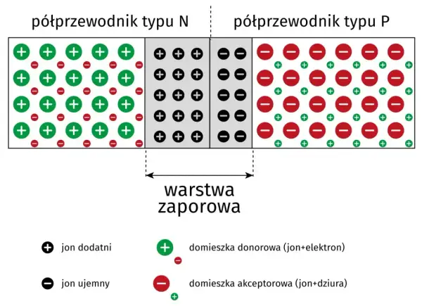 Schemat budowy diody prostowniczej: półprzewodnik typu N z dodatnimi jonami i domieszką donorową, półprzewodnik typu P z ujemnymi jonami i domieszką akceptorową, oraz warstwa zaporowa.