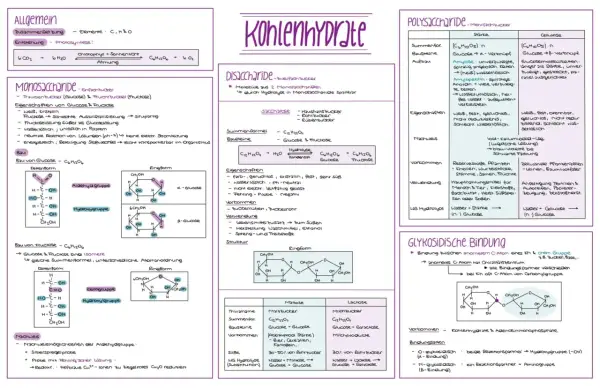 Kohlenhydrate: Monosaccharide wie Glucose und Fructose sind einfache Zucker. Diese Saccharide sind Bausteine für komplexere Kohlenhydrate.