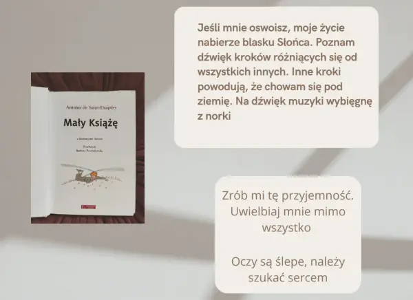 Okładka książki "Mały Książę" z cytatami z powieści.