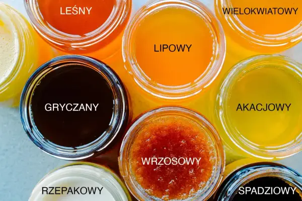 Jaki miód wybrać? Porównanie rodzajów i zastosowań w kuchni