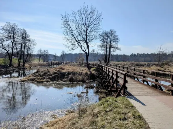 Drewniany mostek nad spokojną rzeką Pilicą, otoczony suchymi trawami i nagimi drzewami.