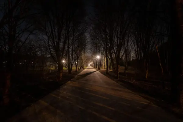 Aleja drzew nocą, oświetlona latarniami. Cienie padają na ścieżkę, tworząc wrażenie kurzej ślepoty.