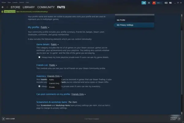 Ustawienia prywatności Steam, aby móc udostępnić swój trade URL na CSGO skins. Zmień widoczność ekwipunku na "Publiczny".