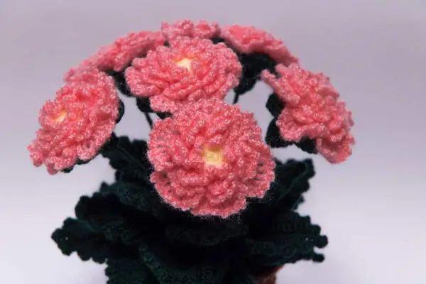 En bukett av virka blommor i rosa med gula mittar och mörkgröna blad.