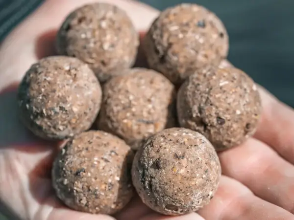 Stick mix PVA - jak łowić karpie? Poradnik krok po kroku