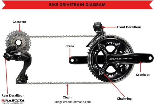 Diagram of bike drivetrain components, including cassette, rear derailleur, chain, crankset, chainring, and front derailleur, essential for mountain bike gears.