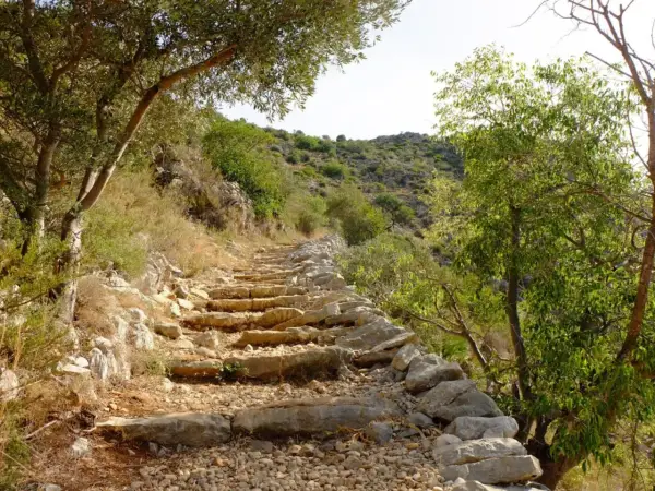 Sendero de piedra en ascenso, rodeado de vegetación mediterránea. Un camino ideal para rutas senderismo Alicante.