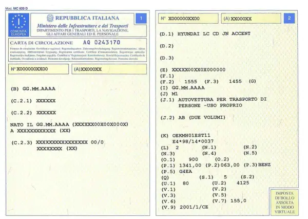 Pagina di un libretto auto con dati di lettura. Informazioni sul veicolo, marca e modello.