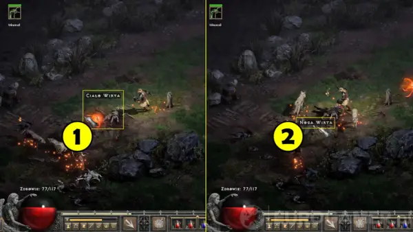 Krowi poziom w Diablo II - jak otworzyć portal i farmić skutecznie