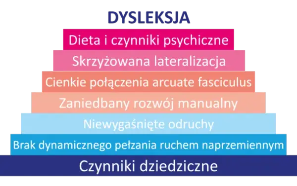 Czy dysleksja jest dziedziczna? Wpływ genów na jej rozwój