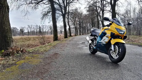 Żółto-niebieska Honda CBR F4 zaparkowana na mokrej drodze wśród drzew.