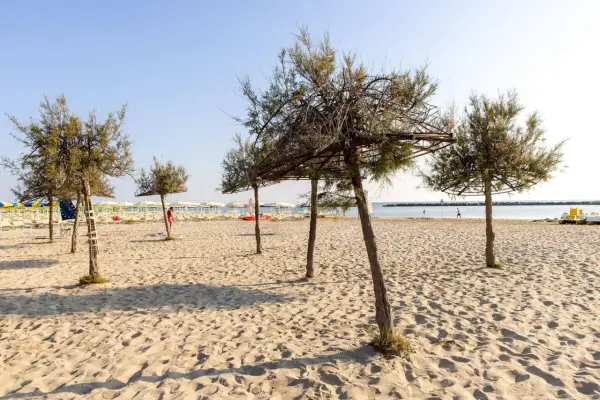 Alberi di tamerici creano ombra sulla spiaggia dorata. In lontananza, lettini e ombrelloni attendono i bagnanti.
