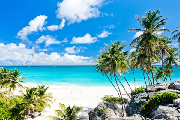 Traumhafter Strand auf Barbados mit Palmen und türkisblauem Meer. Die beste Reisezeit für dieses Paradies ist jetzt!