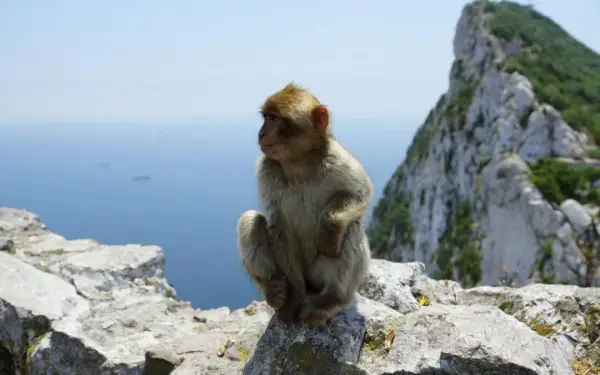 Gibraltar: dowód czy paszport? Sprawdź, co jest potrzebne do wjazdu