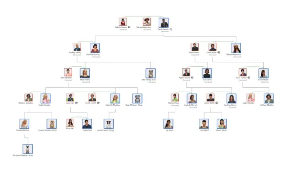 Rozbudowane drzewo genealogiczne The Sims 4 pokazuje relacje między Simami, w tym zmarłych i zwierzęta domowe.