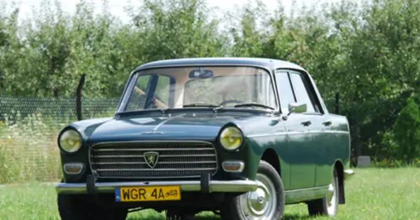 Peugeot 404 - klasyk z duszą? Co musisz wiedzieć przed zakupem!