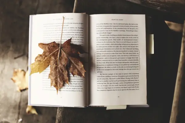 Co to jest literatura faktu? Odkryj jej znaczenie i różnice z fikcją