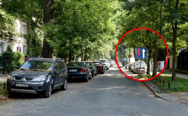 Na tej jednopasmowej drodze, wśród drzew, widać znak informujący o ruchu jednokierunkowym z możliwością wyprzedzania.
