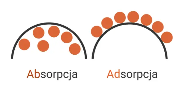 Absorpcja: Co to jest? Definicja, rodzaje i przykłady