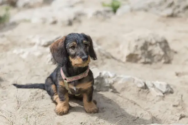 Jamnik: Zdrowy kręgosłup przez całe życie. Profilaktyka dyskopatii