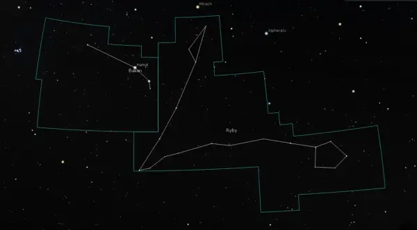 20 marca - Ryby czy Baran? Odkryj swój prawdziwy znak zodiaku!
