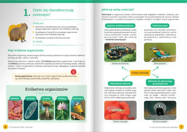 Czym zajmuje się biologia? Poznaj fascynujący świat życia i organizmów