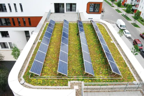 Reihen von Solarmodulen auf einem blühenden, **bewachsenen Dach** mit Blick auf eine Straße und Gebäude.