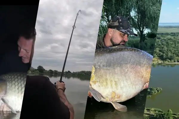 Wędkarze z wielkimi karpiami nad jeziorem. Euro aqua to ich pasja.