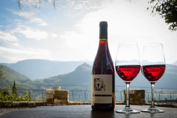 Flasche Rotwein und zwei Gläser auf einem Tisch vor malerischer Bergkulisse. Das Etikett zeigt "Dominikus Weingut".