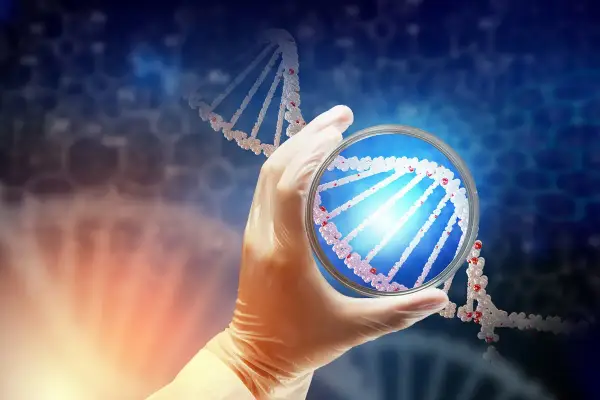 Rękawiczka laboratoryjna trzyma szalkę Petriego z fragmentem DNA. To może być etap diagnostyki prenatalnej, jak kordocenteza.