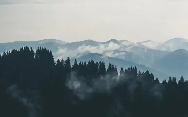 Mgliste góry sowie, zalesione zbocza i doliny, tworzą malowniczy krajobraz.