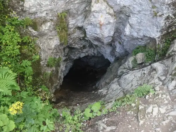 Wejście do Smoczej Jamy w Tatrach, otoczone zielenią i skałami. Ciemny otwór zaprasza do tajemniczego wnętrza.