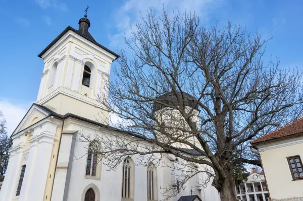 Architektoniczne dziedzictwo czy wymóg dziejów: dlaczego w Polsce jest tak wiele kościołów?