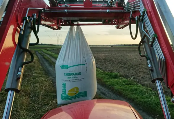 Jakie nawozy pod zboża jare zapewnią najwyższe plony?