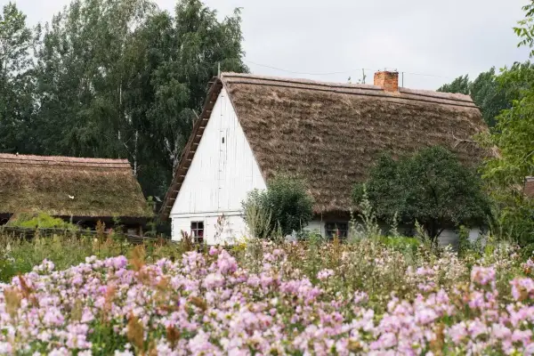 Skansen kujawsko pomorski: białe chaty z krytymi strzechą dachami, otoczone kwitnącym ogrodem.