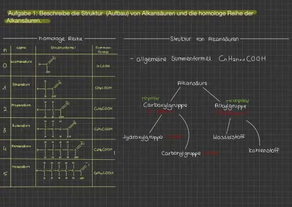 Die homologe Reihe der Alkansäuren zeigt Methansäure bis Hexansäure mit ihren Strukturen und Summenformeln. Die allgemeine Formel ist CnH2n+1COOH.