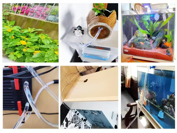 Un tuyau transparent relie un système de refroidissement à un aquarium.