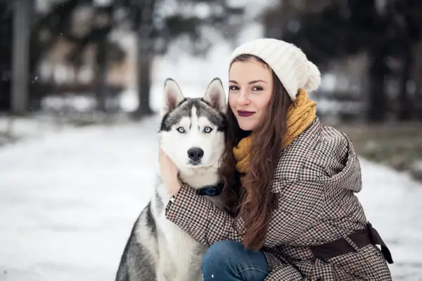 Czy husky szczekają? Poznaj ich unikalną komunikację!